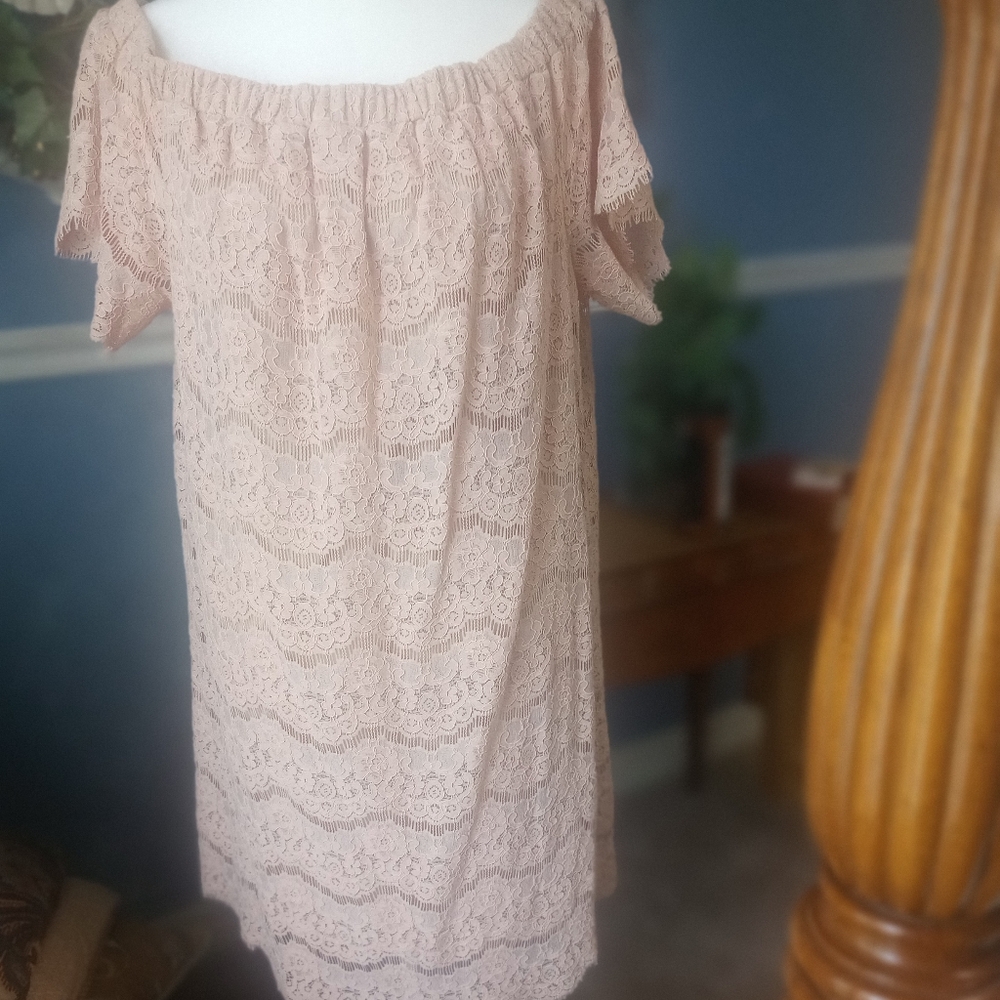 Signature Studio Pink Off-Shoulder Flutter Sleeve Sundress